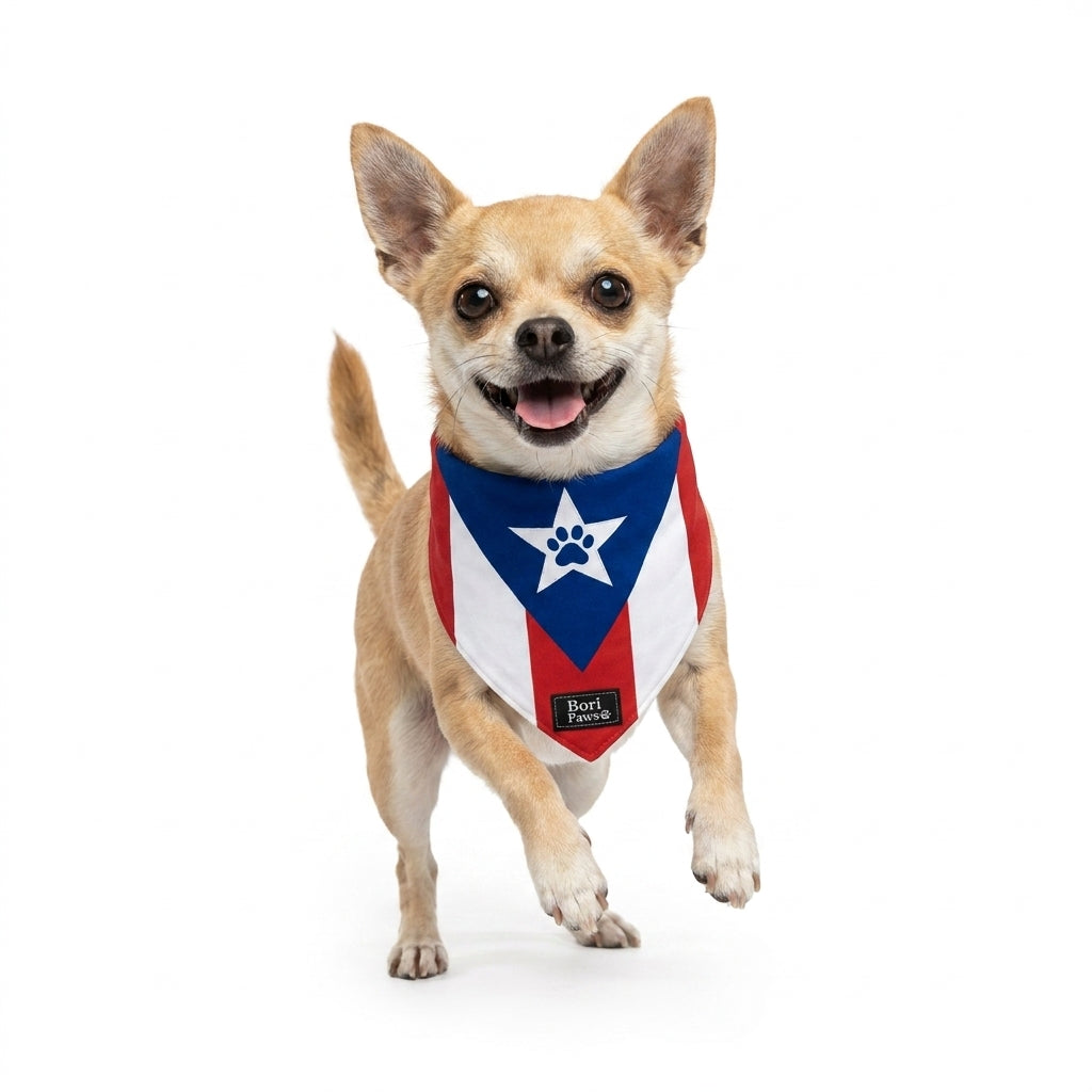 Bandana Bandera de Puerto Rico 🇵🇷🐾