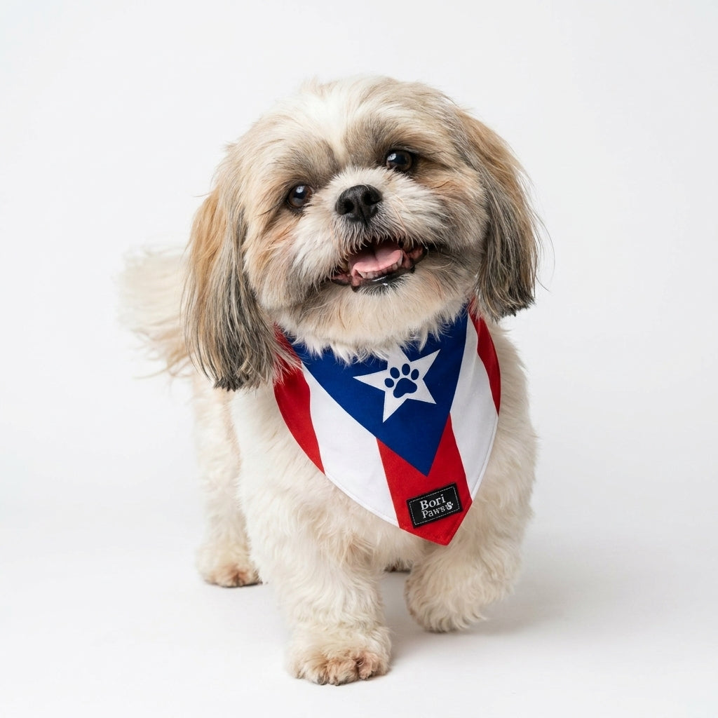Bandana Bandera PR 🐾