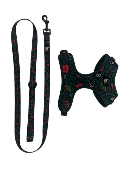 Set Taíno & Raíces - Arnés + Correa