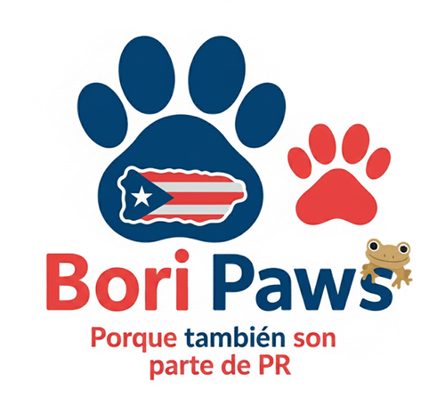 Bori Paws