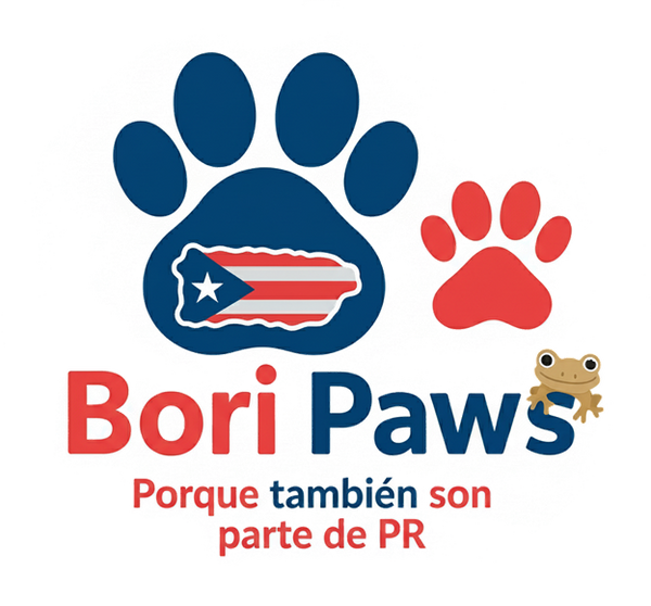 Bori Paws