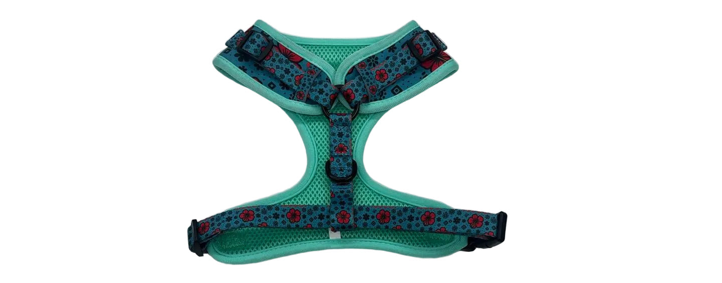 Set Completo Taíno & Raíces - Arnés + Correa + Lanyard