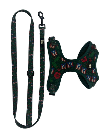 Set Taíno & Raíces - Arnés + Correa