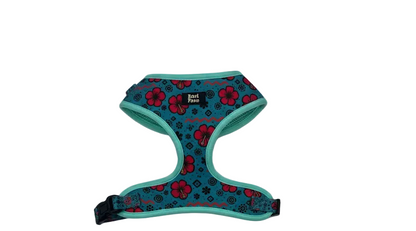 Arnés y Correa Maga - Sin lanyard