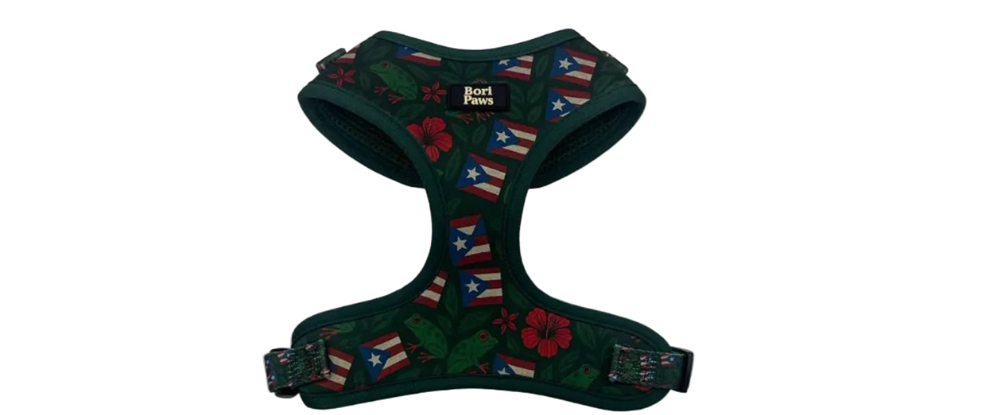 Set Completo Taíno & Raíces - Arnés + Correa + Lanyard