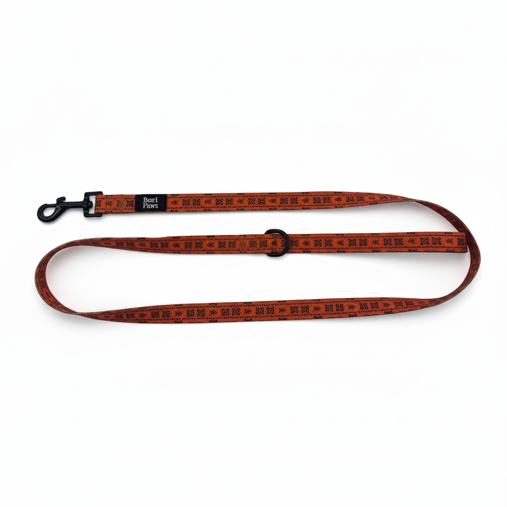 Correa mejorada - Sol Taíno