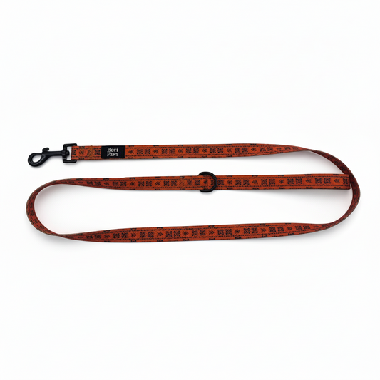 Correa mejorada - Sol Taíno