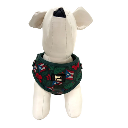 Arnés Taíno & Raíces