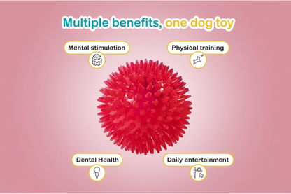 Bori Pack de San Valentín 💕 - Edición Limitada