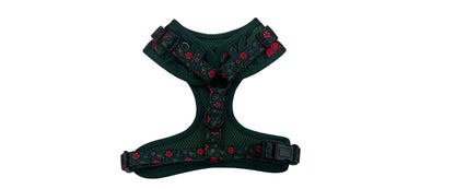 Set Completo Taíno & Raíces - Arnés + Correa + Lanyard