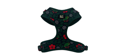 Set Completo Taíno & Raíces - Arnés + Correa + Lanyard