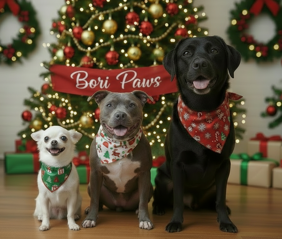menos cantidad que haya un chihuahua blanco y labrador negro