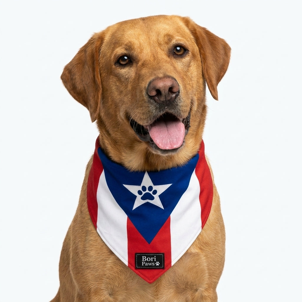 Bandana Bandera PR 🐾