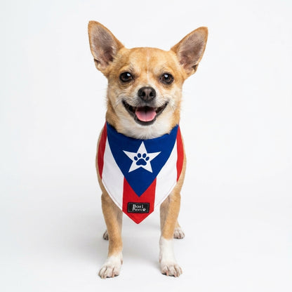 Bandana Bandera PR 🐾