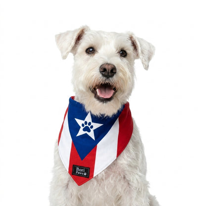 Bandana Bandera PR 🐾