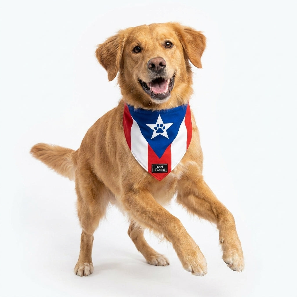 Bandana Bandera PR 🐾