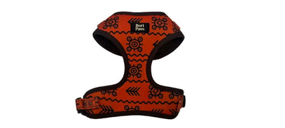 Set Completo Taíno & Raíces - Arnés + Correa + Lanyard