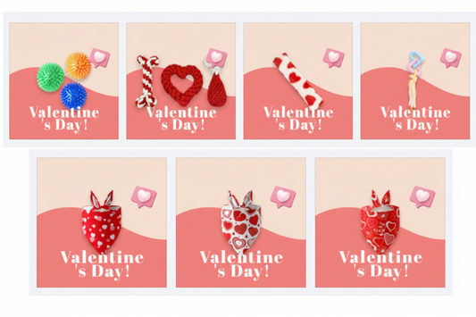 Bori Pack de San Valentín 💕 - Edición Limitada