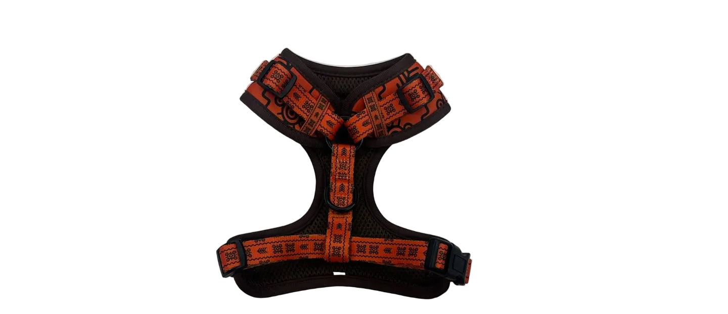 Set Completo Taíno & Raíces - Arnés + Correa + Lanyard