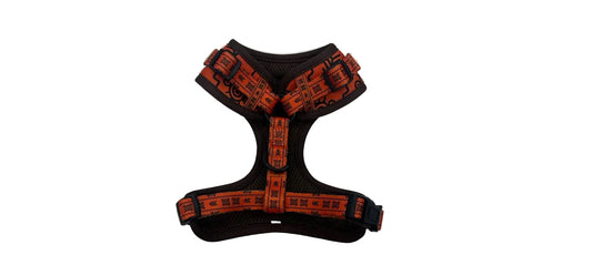 Arnés Taíno & Raíces